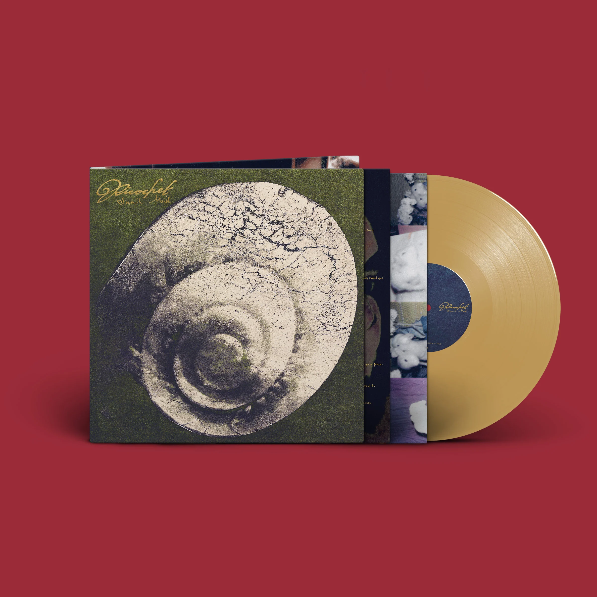 New Releases